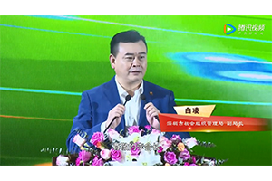 江南官方app
二十周年庆 深圳市社会组织管理局白凌副局长致辞