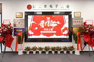 深圳市电子商会第六届理事会第四次会议胜利召开！