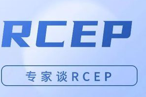 打响开年外贸第一枪丨RCEP框架下中国-越南经贸宣讲会